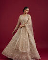 Soft Cream Rhinestone Embellished Lehenga with Fern and Jaal Patterns